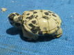 Hanger schildpad van dalmatiër jaspis - 0 - Thumbnail