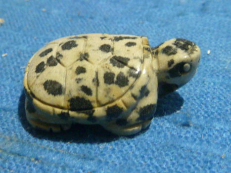 Hanger schildpad van dalmatiër jaspis - 1