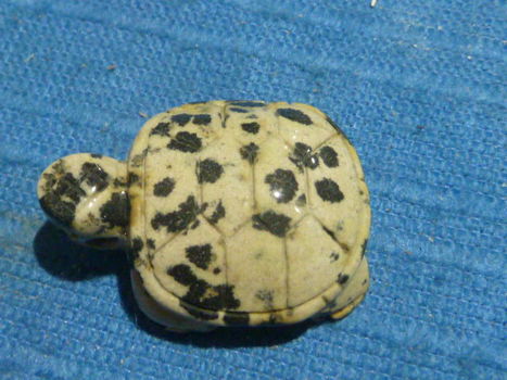 Hanger schildpad van dalmatiër jaspis - 2