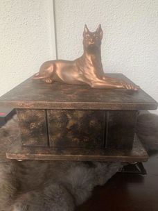 Urnenkistje van hout voor hond 25x25x13 cm hoog
