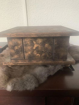 Urnenkistje van hout voor hond 25x25x13 cm hoog - 1