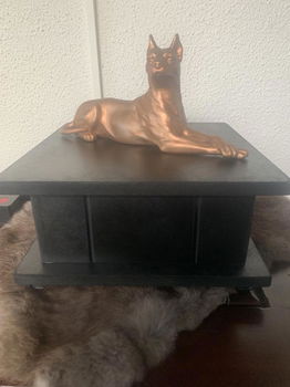 Urnenkistje van hout voor hond 25x25x13 cm hoog - 2