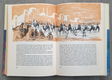 Verhalen uit 1001 nacht - 2 delige set met stofomslag 1964 - 4 - Thumbnail