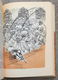 Verhalen uit 1001 nacht - 2 delige set met stofomslag 1964 - 6 - Thumbnail