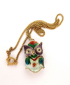 Cloisonnee uiltje aan ketting