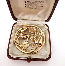 Prachtige broche