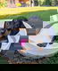 Dwergteckel pups korthaar - 2 - Thumbnail