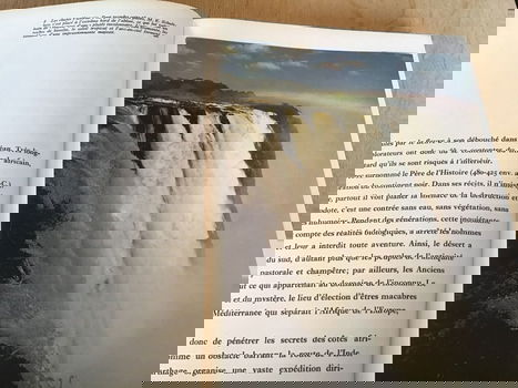 37 ARTIS Boeken met prenten kennis v/ h land en hun bestaan TOP - 1