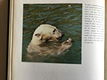 37 ARTIS Boeken met prenten kennis v/ h land en hun bestaan TOP - 4 - Thumbnail