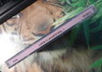 De originele verzamel-CD Love Classics Volume 1 van EVA. - 3 - Thumbnail