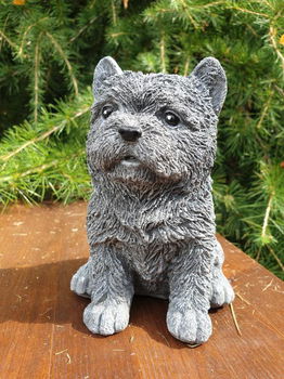 beeld van een hond , puppy ,kado - 5