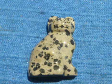 Hanger kat van Dalmatiër jaspis - 1