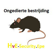 Vakantietijd .... erhoogde kans op inbrekers / insluipers ...... die gluiperds - 5