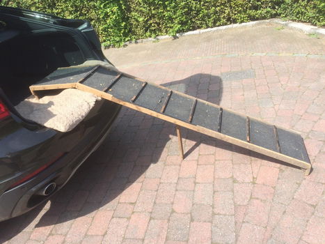 honden oploopplanken/rampen, één vaste en één opplooibaar, hoogte van mijn wagen +- 80cm - 1