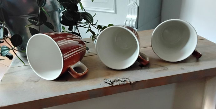 3 kopjes van Vic's HandPainted - mokjes - senseo formaat - 5