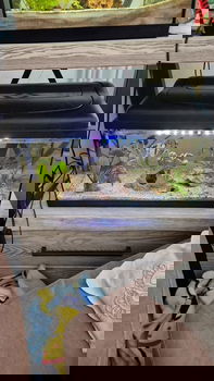 Aquarium - 0