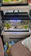 Aquarium - 0 - Thumbnail