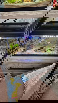 Aquarium
