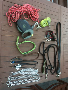 honden halsbanden leibanden oprolkoord FLEXI XL extra strong, lengte 8 meter loopkoorden, - 0