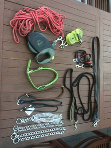 honden halsbanden leibanden oprolkoord FLEXI XL extra strong, lengte 8 meter loopkoorden,