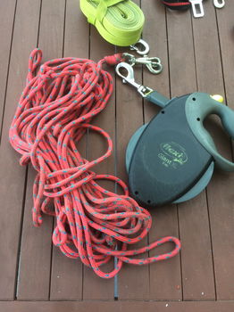 honden halsbanden leibanden oprolkoord FLEXI XL extra strong, lengte 8 meter loopkoorden, - 1