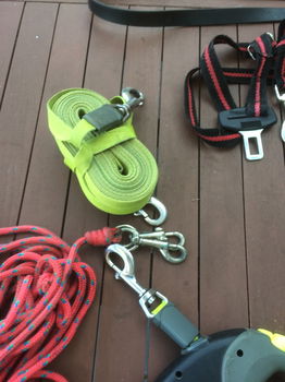 honden halsbanden leibanden oprolkoord FLEXI XL extra strong, lengte 8 meter loopkoorden, - 3