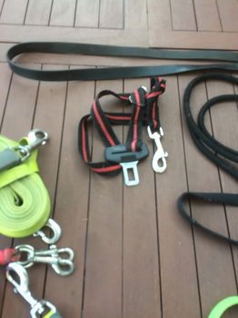 honden halsbanden leibanden oprolkoord FLEXI XL extra strong, lengte 8 meter loopkoorden, - 4