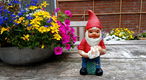Vintage tuinkabouter met gietertje in de handen - terracotta - 1 - Thumbnail