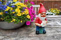 Vintage tuinkabouter met gietertje in de handen - terracotta - 2 - Thumbnail
