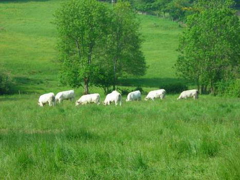 Romantische tussenstop op weg naar Spanje.....of Frankrijk - 6