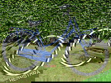 BSP Pitch Urban Transport Series Blauw | Dames | FM52 | 3V