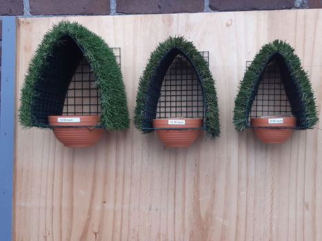 Nestkasten voor Europese & Tropische vogels. - 0