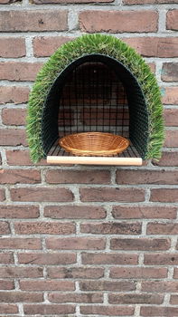 Nestkasten voor Europese & Tropische vogels. - 3