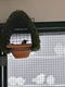 Nestkasten voor Europese & Tropische vogels. - 4 - Thumbnail