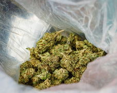 Koop wiet en cocaïne in '+49 15783350220' België, Nederland, Frankrijk en Duitsland.