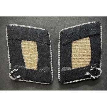 Kraagspiegel,Set,WWII,Duitsland,SS,Reichsfuhrer - 2