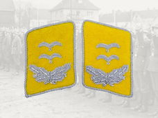 Kraagspiegel,Set,Duitsland,WWII,Luftwaffe,Ober,Leutnant