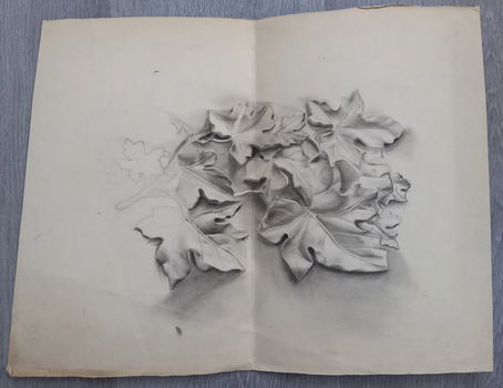 19 bladen met tekeningen door Magdalene Rosenbaum - 6