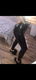 Latex legging maat S - 0 - Thumbnail