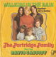 The Partridge Family – Walking In The Rain (1973) - 0 - Thumbnail