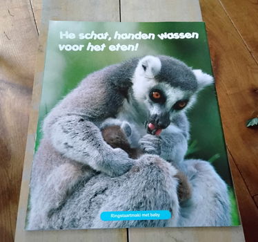 Tijdschrift: Wapiti wakou - spelletjes, recepten, knutsels, weetjes, tips - nieuw - 2
