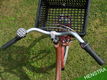 Batavus Diva Transporter | Meisjefiets FM47 | 3V - 5 - Thumbnail