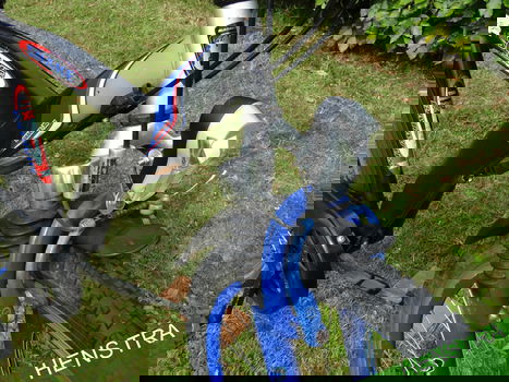 Batavus Snake-XC | Jongensfiets | FM44 | 3V - 3