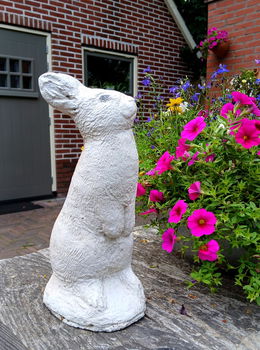Beeld van een haas / konijn - beton - betonnen - tuinbeeld - 0
