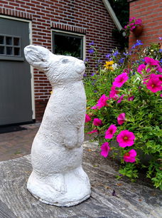 Beeld van een haas / konijn - beton - betonnen - tuinbeeld