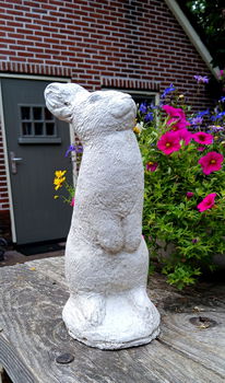Beeld van een haas / konijn - beton - betonnen - tuinbeeld - 2