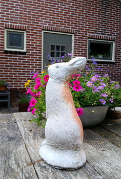 Beeld van een haas / konijn - beton - betonnen - tuinbeeld - 4