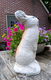 Beeld van een haas / konijn - beton - betonnen - tuinbeeld - 5 - Thumbnail