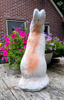 Beeld van een haas / konijn - beton - betonnen - tuinbeeld - 6