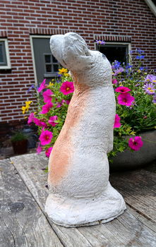 Beeld van een haas / konijn - beton - betonnen - tuinbeeld - 7
